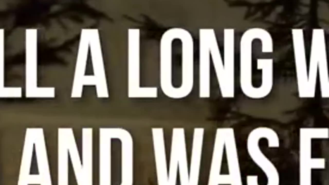 The Prodigal Son: A Journey from Ruin to Redemption