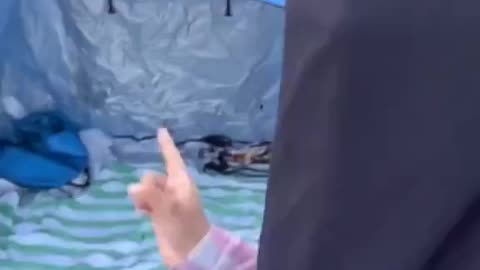 How does a Muslim woman eat in the beach while wearing a niqab?”