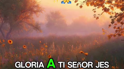 🙏✨Evangelio de hoy Sábado, 29 de Noviembre del 2025✨🙏