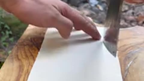 Cooking Salmon by the Riverside: A Taste of Nature! 🐟🌿