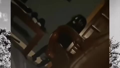 👻💀 Skinwalker Encounter - You Won't Believe What Happens! | TheHauntingHour