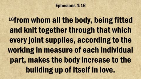 365 Key Chapters of the Bible Ephesians 4