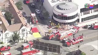 TWO CATS U.S. POLITICAL NEWS