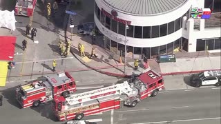 TWO CATS U.S. POLITICAL NEWS