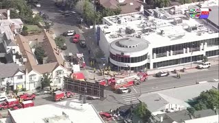 TWO CATS U.S. POLITICAL NEWS