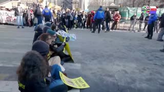 TWO CATS U.S. POLITICAL NEWS