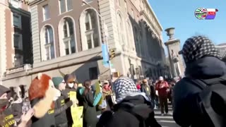 TWO CATS U.S. POLITICAL NEWS