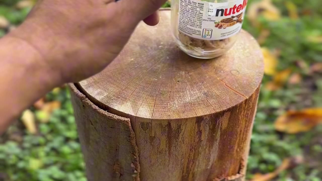 Bushcraft Skill: Never Go Into the Forest Without This