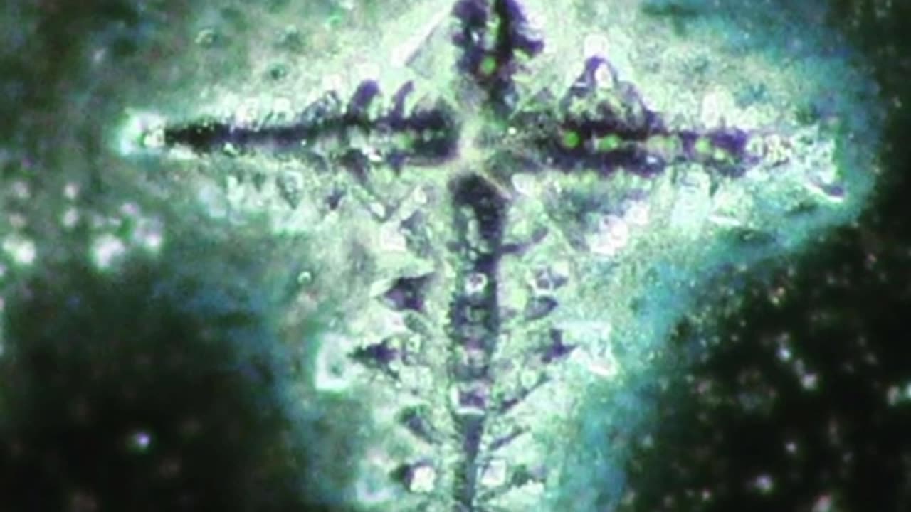 Rare video of the "Who's Who" in the Golden Water Family.