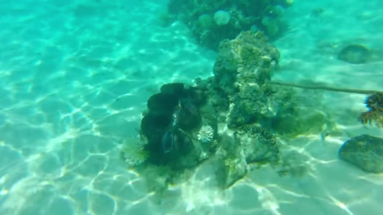 Calm Strings for Reading & Focus