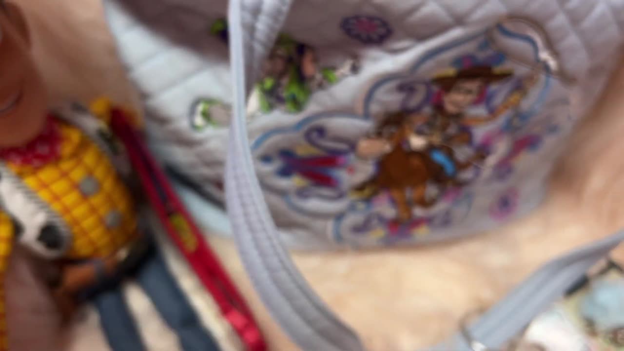 What's in my Vera Bradley Toy Story Small Vera Tote Bag