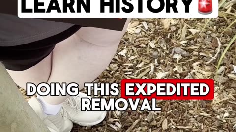 Deportations DO NOT Violate The Constitution 🚨Watch To Learn History🚨