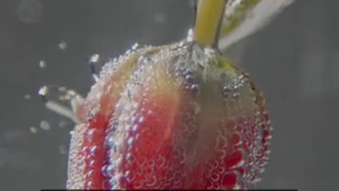 Daily Horoscope | Pisces 🌟