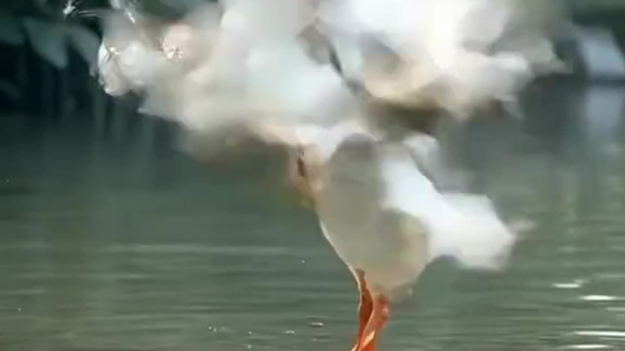 Cute Baby vs Duck 🦆 fight #AI #kid #cute #baby #funny #Love