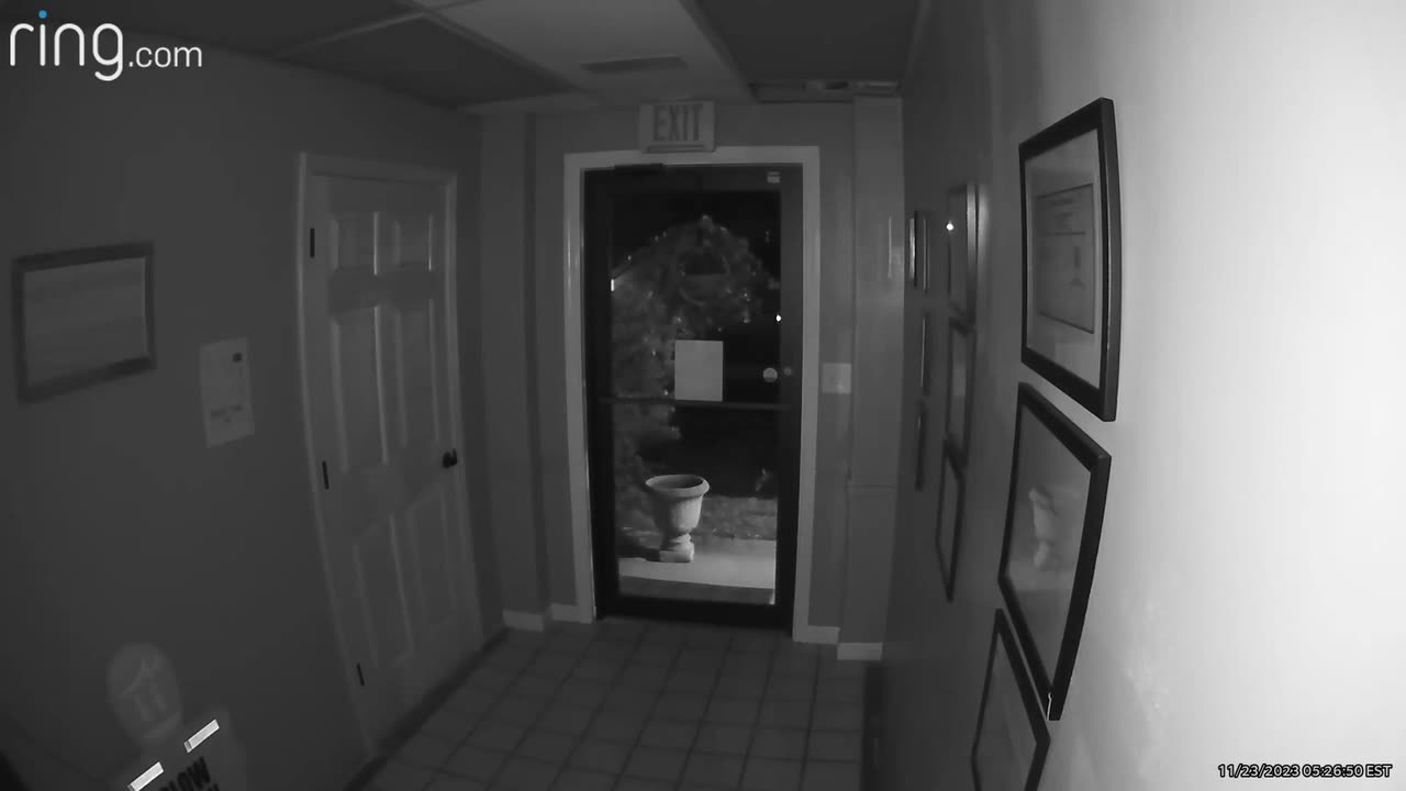 🌟👻 Possible Light Anomaly – Is This Paranormal? | TheHauntingHour