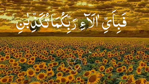 Subahanallah 😍♥️