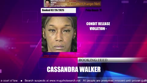 Mugshot TV - Live Arrest Booking Video Stream