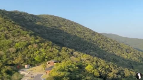 Amami Oshima Island Japan Tour