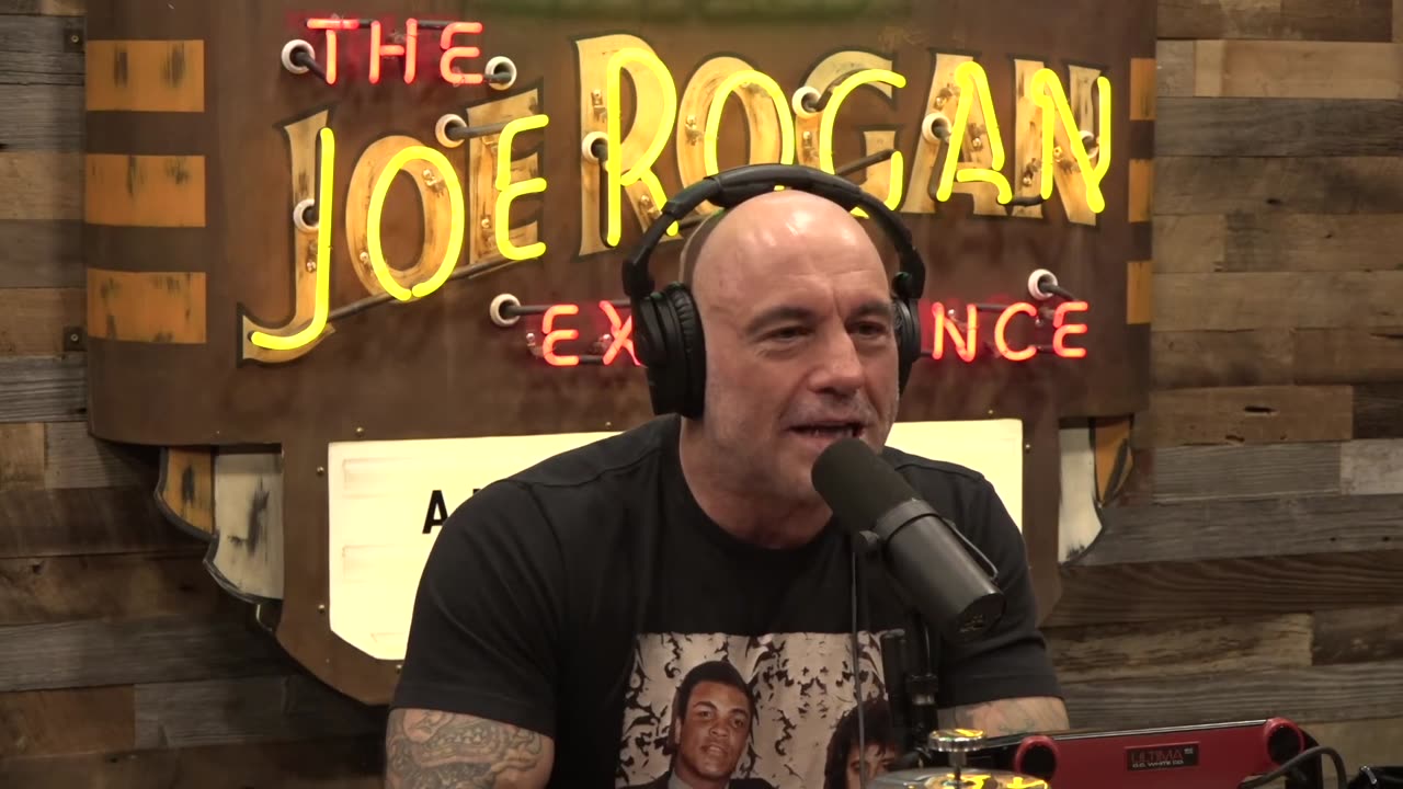 Joe Rogan Rips Dems Attempt To Woo Men, Says They Want Leaders Who 'Aren’t Owned'