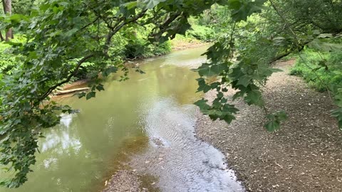 Raccon Creek & Raredon's Run Site of the Sugar Camp