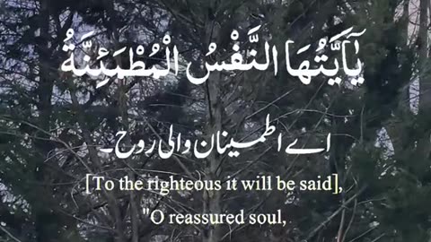 Jazakallah ♥️✨🕊️