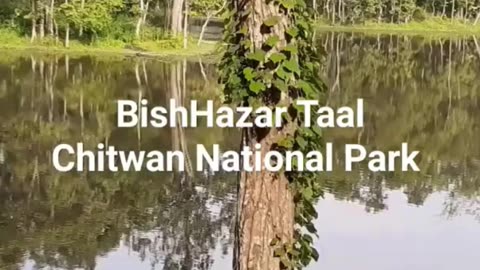 20,000 Lake (Bees Hazar Taal) Chitwan National Park