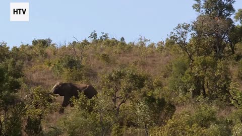 Zero-Waste Travel in the Real World