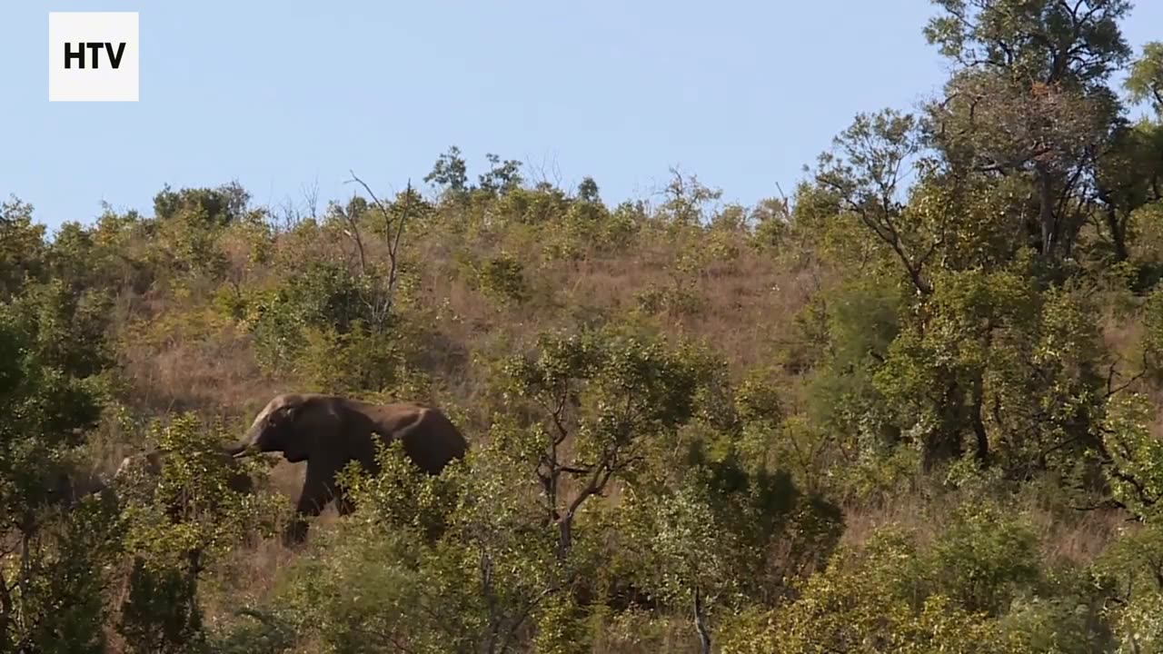 Zero-Waste Travel in the Real World