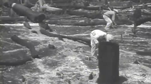 [FORD BRAZILIAN RUBBER PLANTATION] - [FORD BRAZILIAN RUBBER PLANTATION] - fc-fc-1180