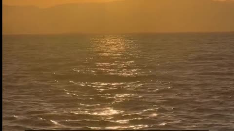 Daily Horoscope | Leo 🌟