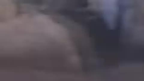 Melvins - Honey Bucket (1993)