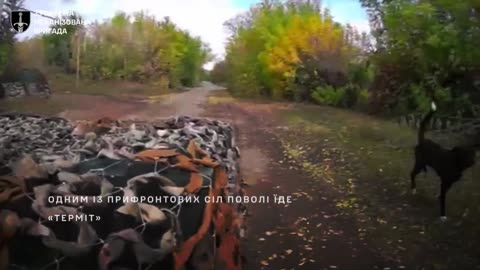 🐾🇷🇺 Ukraine Russia War | Four-Legged Friends Accompany Ukrainian Logistics Robot | RCF