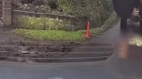 🚛💥 Shocking Crash! Car Collides Head-On With Timber Truck 😱 | Full Accident Caught on Camera