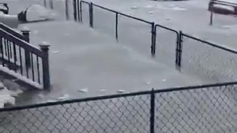 Detroit was flooded and it froze over night. Cars are stuck.
