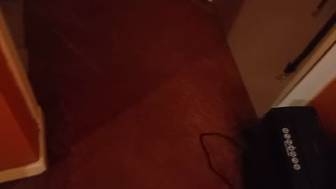 What da faq's in Andy's sack?