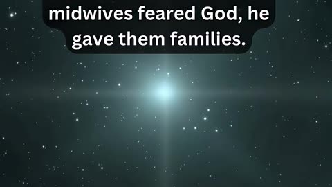 Journey of faith and spiritual growth | Exodus 1:20 Daily Bible Verse