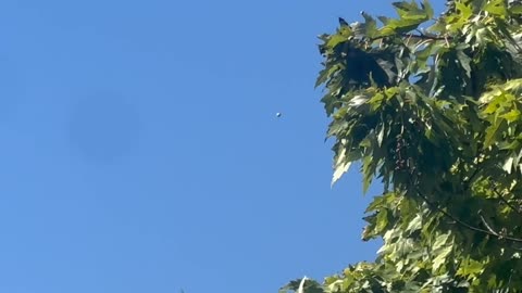 👁️🛸 Is This Balloon or Something ELSE? Unbelievable UFO Sighting! | TheTruthAbove
