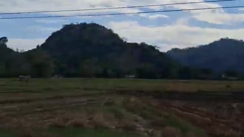 Ella Wellawaya- Sri Lanka's Most Scenic Mountain Road Trip #Ella Wellawaya #RoadTrip Clip 5