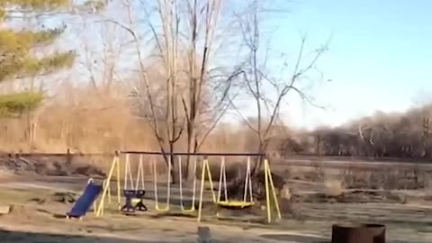 Try not to laugh 😂💦 (Dogs doing flips)