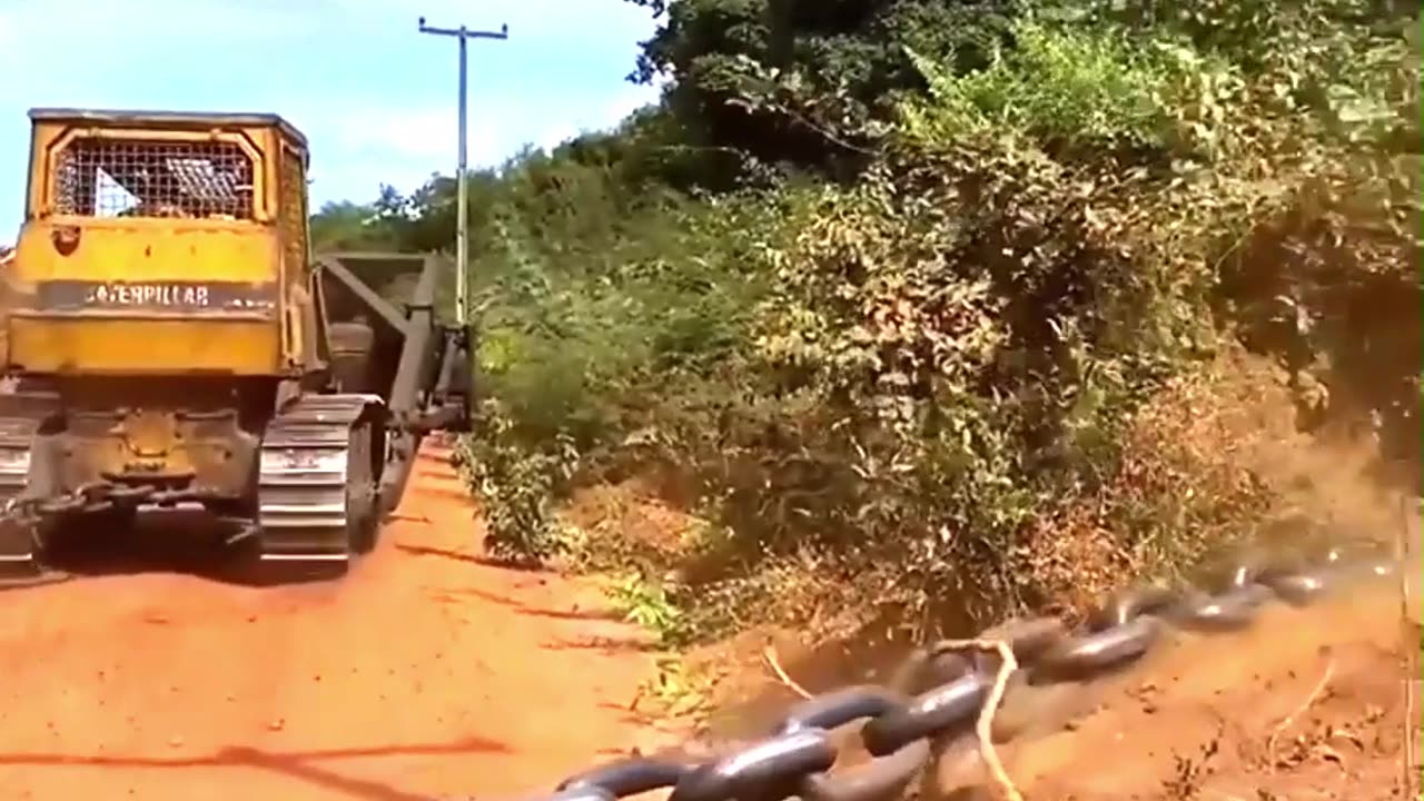 How The USA And Australia Flatten Forests?