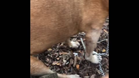 It’s almost just begun for you