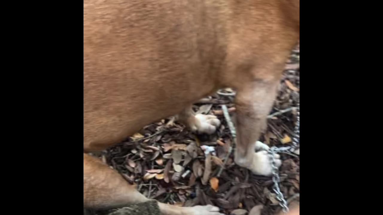 It’s almost just begun for you