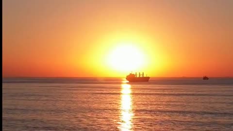 Daily Horoscope | Leo 🌟