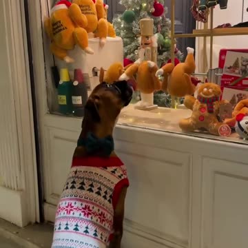 Roasted chickens look too delicious 🤣