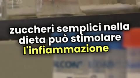 Lo Zucchero Può Causare il Cancro? La Verità Sorprendente!