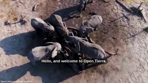 Is Botswana the MOST Beautiful Country in Africa? First-Time Safari? Watch Before You Book Botswana!