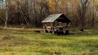 🎨🍂 Ukraine Russia War | Artist Captures Autumn in Kyiv | RCF