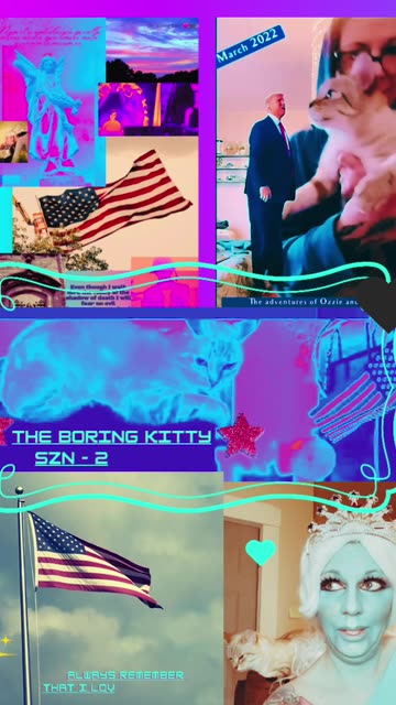 The Boring Kitty - SZN 26 F@F0 (CatsNTheAttic) soon….