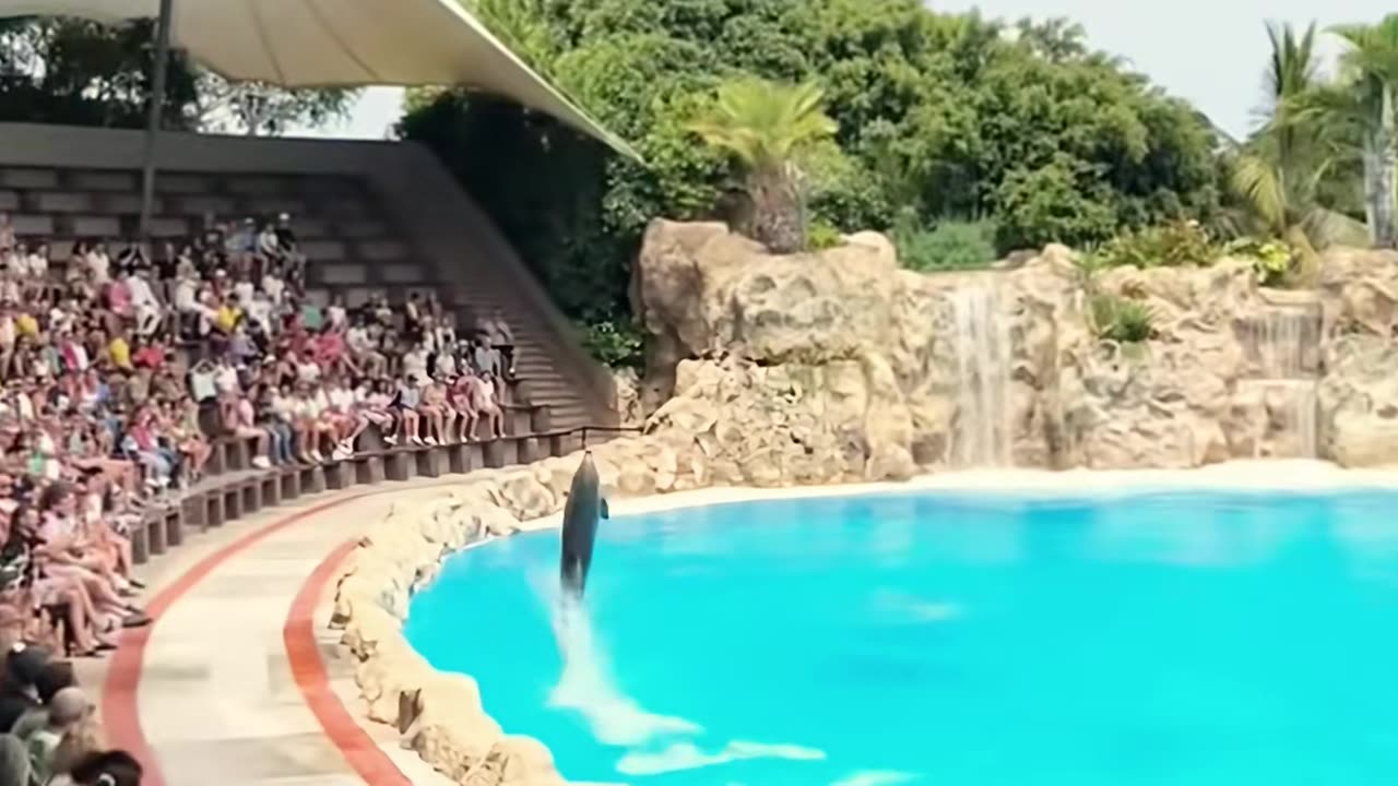 ✨👍 The Most Relaxing Way To Fold A Towel | LifeHacksDaily