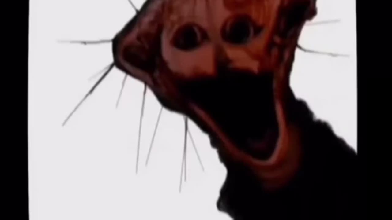 😱👻 They're Trying to Warn You... IDK Footage | TheHauntingHour
